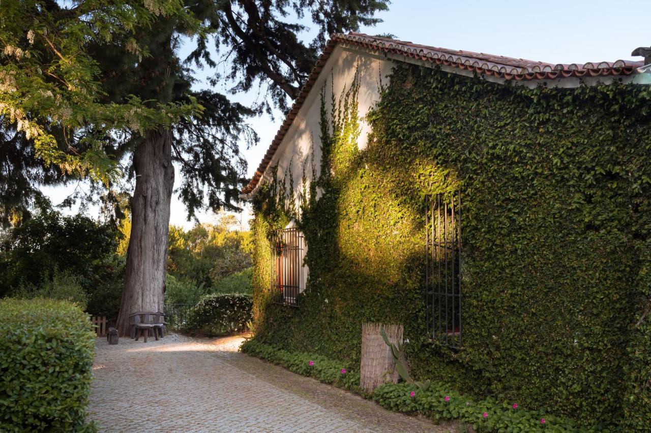 Imani Country House Évora Kültér fotó